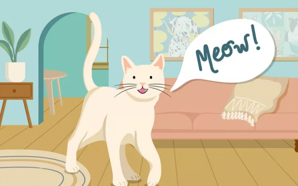 Meowing Mayhem: Why Your Cat is Meowing So Much and What You Can Do About It