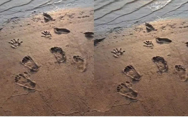 Has anyone ever seen such strange footprints?