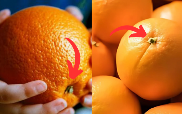 Oranges with "big n.a.v.e.l" and "small n.a.v.e.l" are different