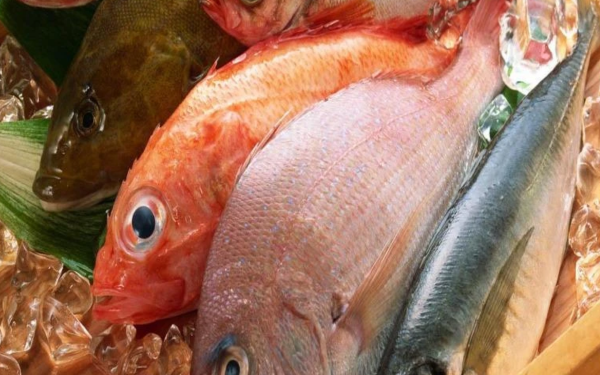 6 fish to avoid buying: High in mercury and toxic