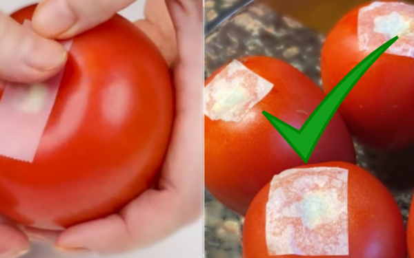 2 ways to preserve fresh tomatoes