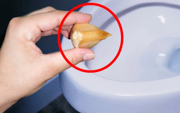 Drop a garlic clove in the toilet its benefits will amaze you!