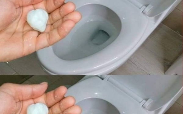 Garlic for toilet