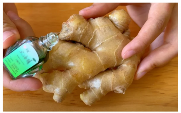 Uses of medicated oil and fresh ginger