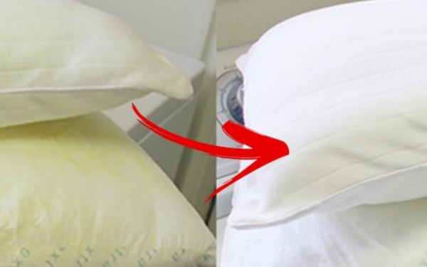 Simple and Effective Tips for Cleaning Pillow Inserts