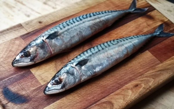 4 Types of Fish You Should Avoid