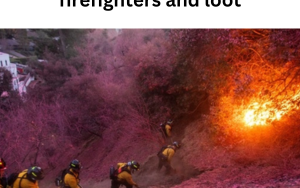 Taking advantage of wildfires in California to pose as mineral firefighters and loot