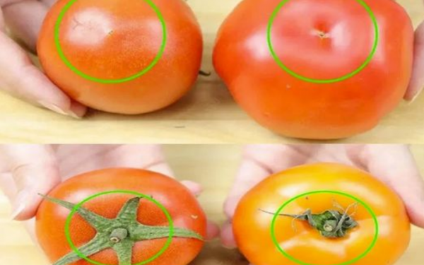 The way to distinguish naturally ripened tomatoes