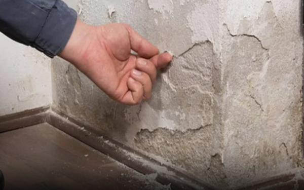 Tips to deal with moldy, peeling walls