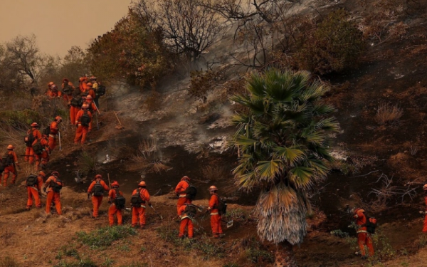 More than 1,000 American prisoners participated in fighting forest fires in Los Angeles