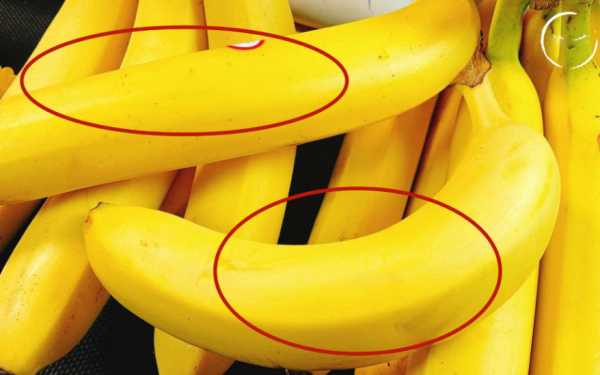 Are curved or straight bananas tastier?