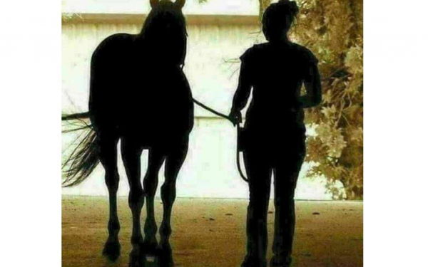 The horse and the girl come or go