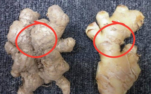 Buying Ginger: Smooth or Rough Skin?