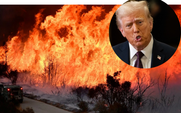 Mr. Trump: The California wildfire disaster was like a "nuclear attack"