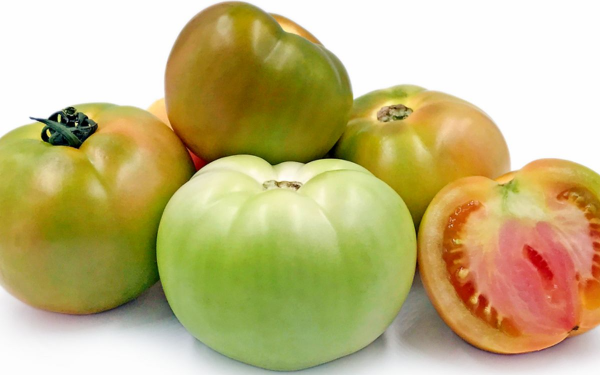 Are Green Tomatoes Toxic?