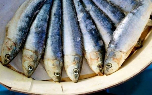 3 Types of Fish “Highly Incompatible” with the Liver but Often Considered Delicacies