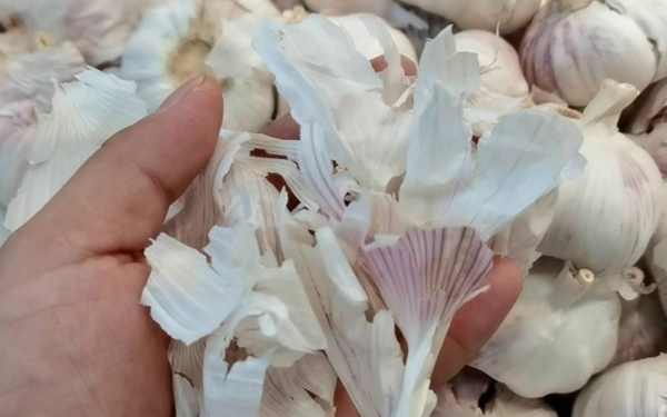 The Incredible Benefits of Onion and Garlic Peels