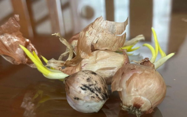 "Stop" eating onions and garlic when they have black spots