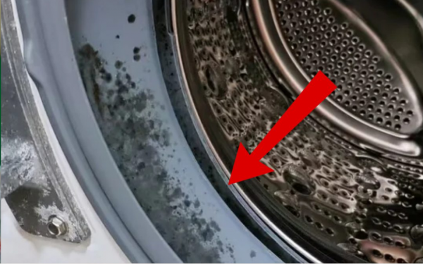 Tips to clean the washing machine