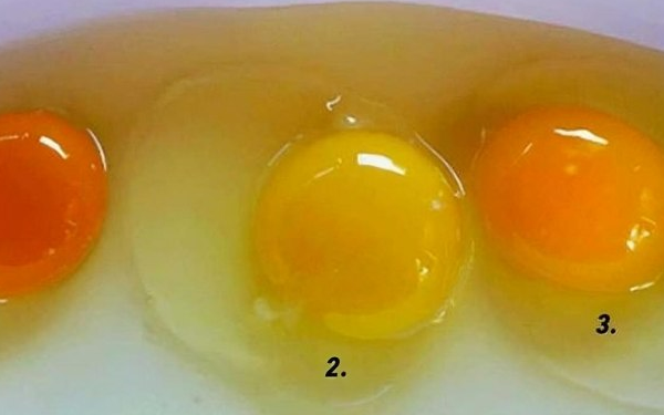 Can you tell which egg came from a healthy chicken