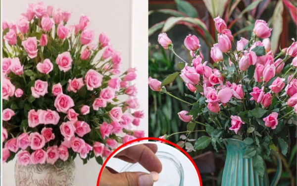 Don't just use plain water to arrange flowers