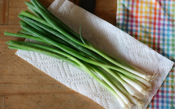 4 Ways to Store Green Onions for a Whole Month Without Spoiling