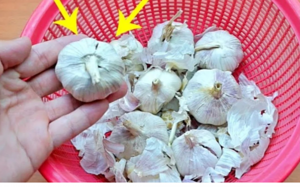 Do this extra step so that the garlic won't sprout or rot all year long