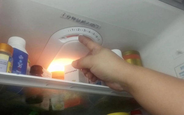 Every Refrigerator Has a 'Power-Saving Switch'