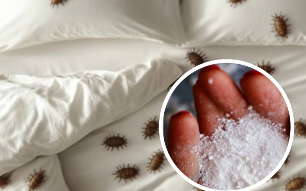 Removing dust mites and bed bugs from your mattress naturally